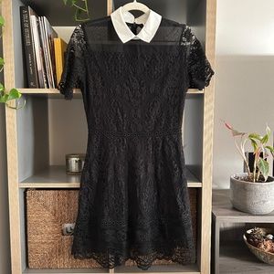 Blu Pepper Black Lace Dress with White Collar - Size Small